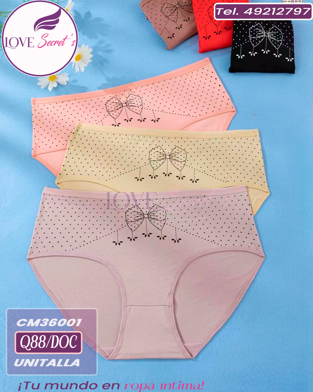 BloomerCM36001-12 pzs. Bling Bling