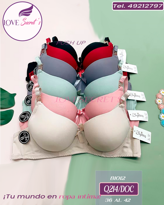 Brasier copa B 81012-12 pzs
