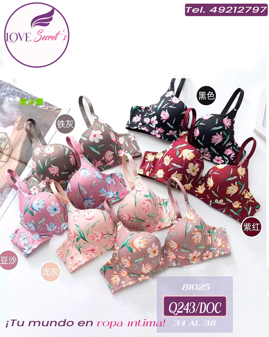 Brasier 81025-12 pzs